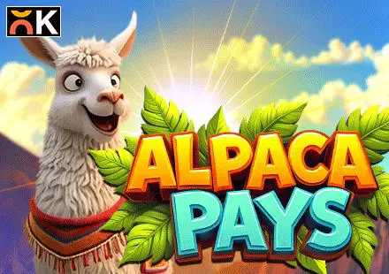 Alpaca Pays - Spin City - Congo